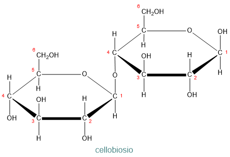 cellobiosio