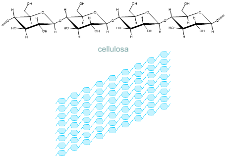 cellulosa