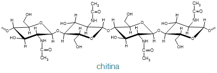 chitina