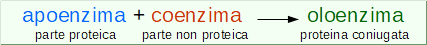 oloenzima