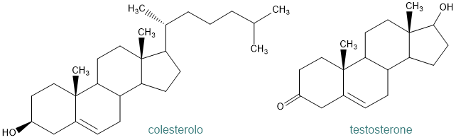 colesterolo e testosterone