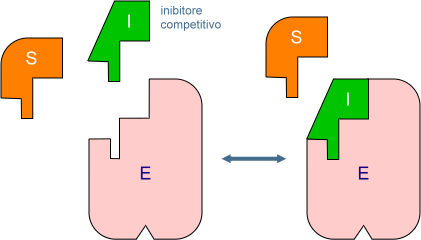 inibizione competitiva