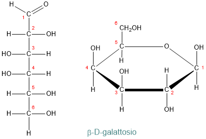 galattosio