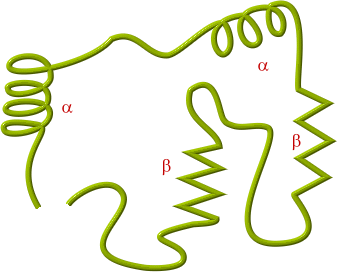 proteina globulare