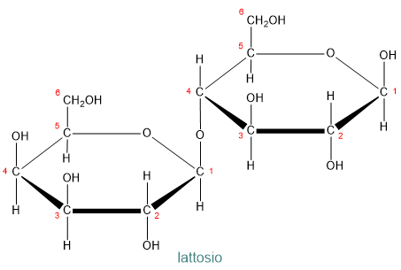 lattosio.png