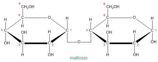 maltosio.png