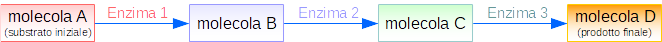 via metabolica