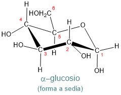 glucosio forma a sedia