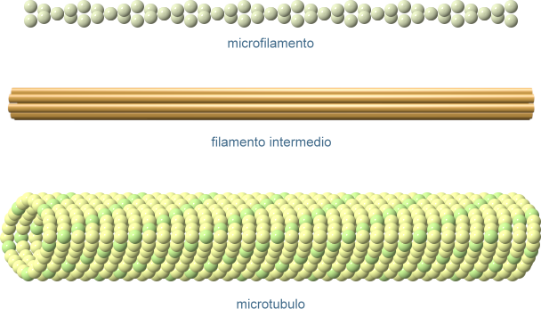 tipi di filamenti