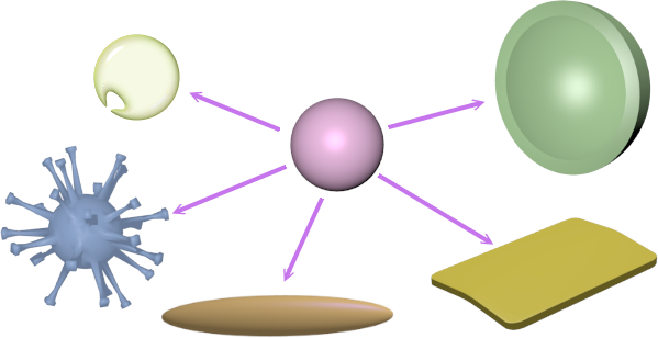 forma delle cellule