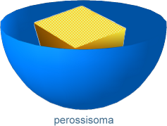 perossisoma
