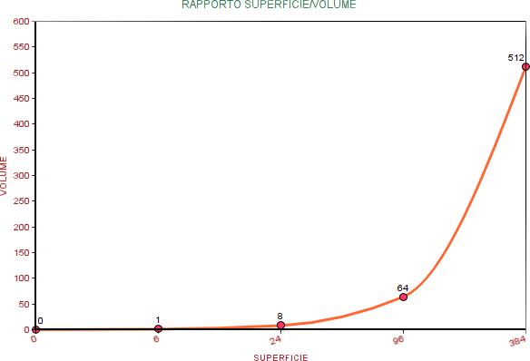 grafico sul rapporto superficie volume