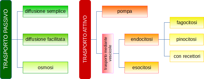 tipi di trasporto
