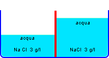 osmosi