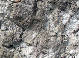 breccia riolitica