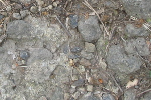 breccia latitica