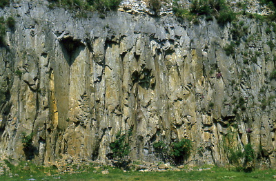 M. Cecilia