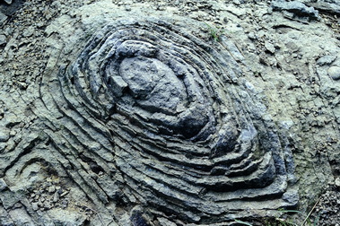 esfoliazione cipollare