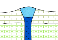 neck