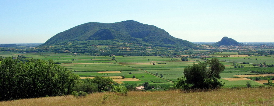 M. Ricco