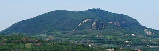 M. Ricco