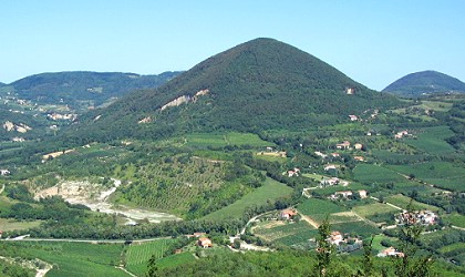 M. Rusta