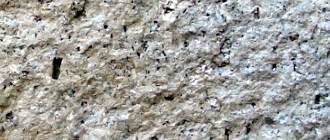 trachite alcalina