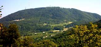 M. Venda