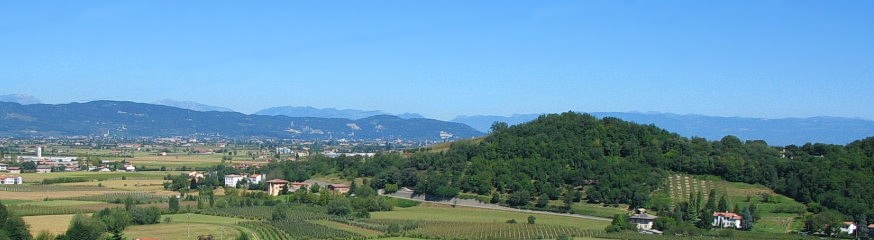 viale.jpg