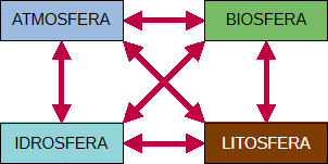 Relazioni nell'ecosistema Terra