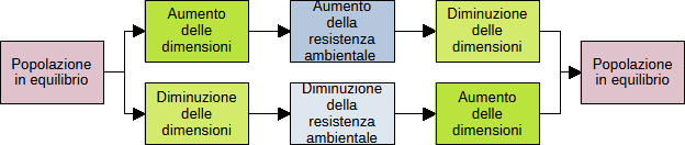 equilibrio della popolazione