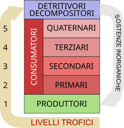 livelli trofici