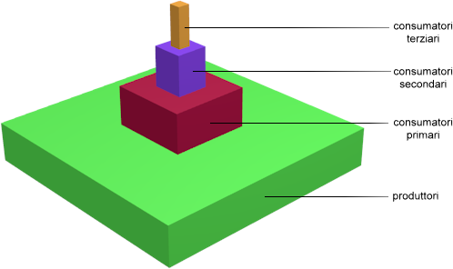 Piramide di biomassa