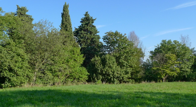 Parco