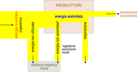 Produzione secondaria