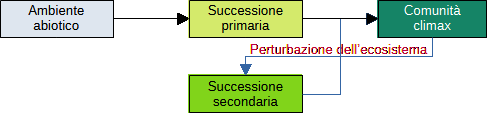 fasi della successione