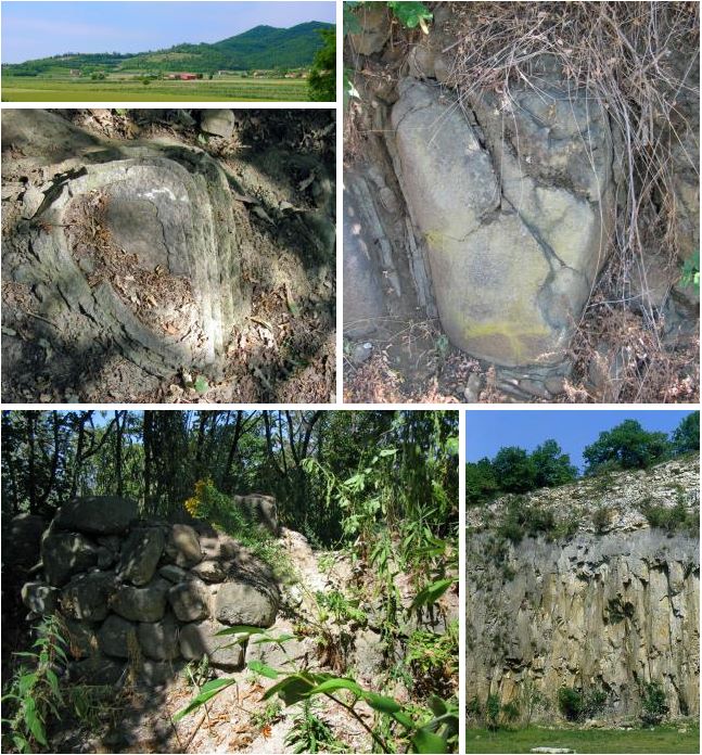 Emergenze M. Cecilia