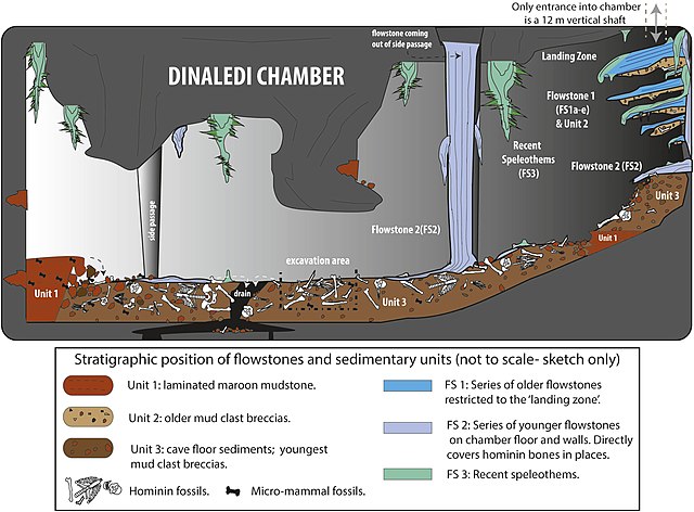 Dinaledi Chamber