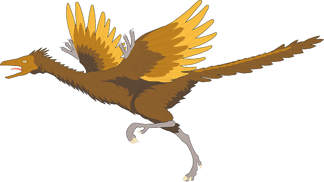 Archaeopteryx lithographica