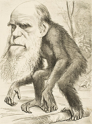 caricatura di Darwin