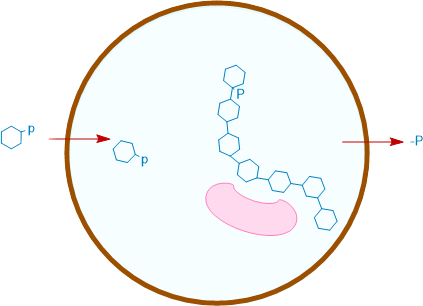 metabolismo coacervato
