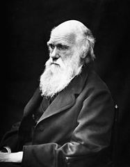 Darwin anziano