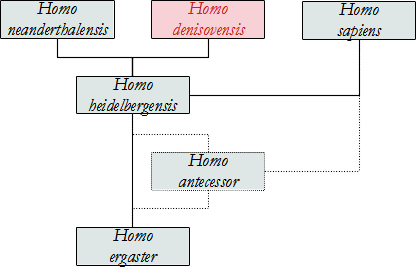 percorso dei Denisovans