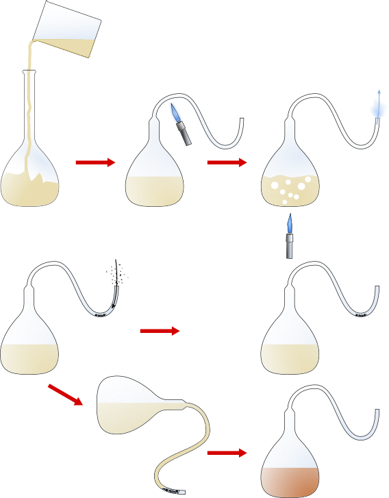 esperienza di Pasteur