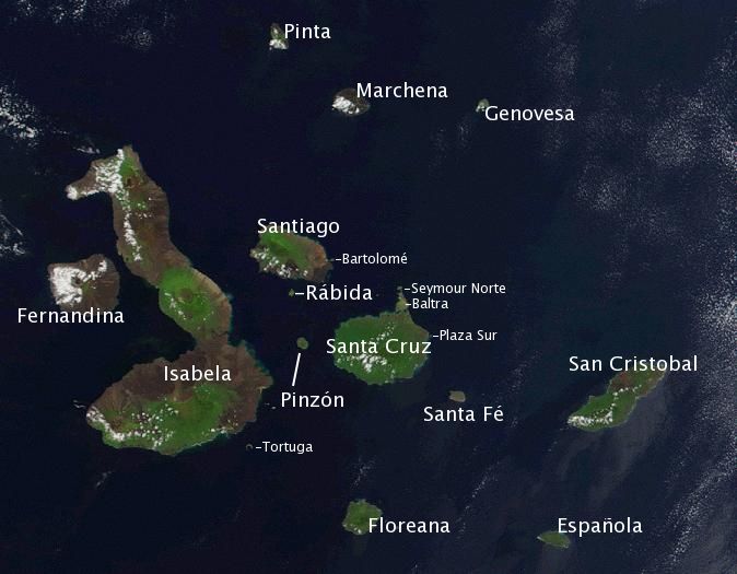 galapagos