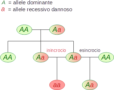 inincrocio
