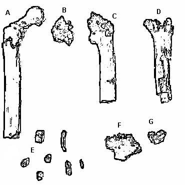 frammenti di Ororin