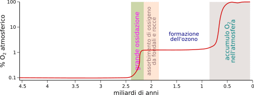 concentrazione dell'ossigeno