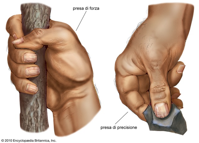 presa di forza e di precisione