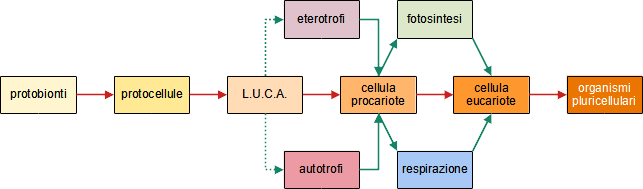 passaggi alle protocellule
